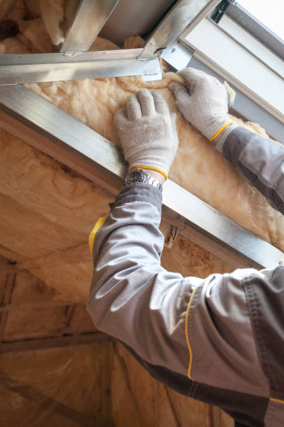 Best Specialized Insulation Services in Hillsboro, OH