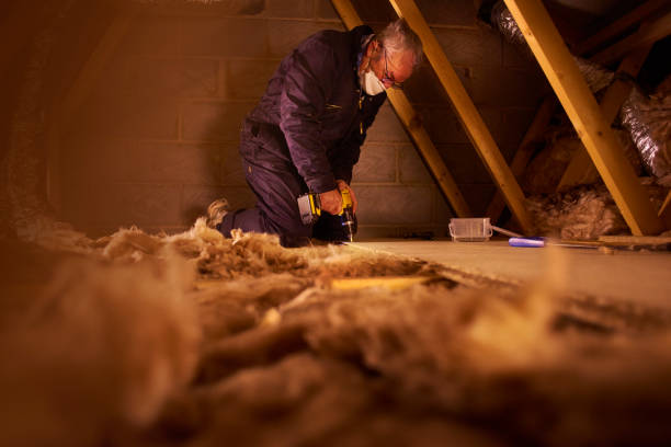 Best Cellulose Insulation in Hillsboro, OH